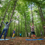 MEDICINA FORESTALE E MEDICINA PREVENTIVA